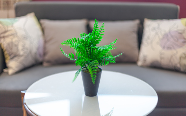 Rentplaza na Gastelo Apartments
