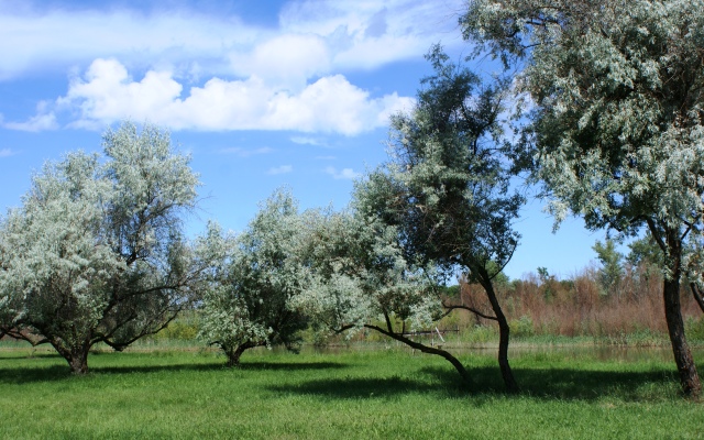 Гостевой Дом Берлога