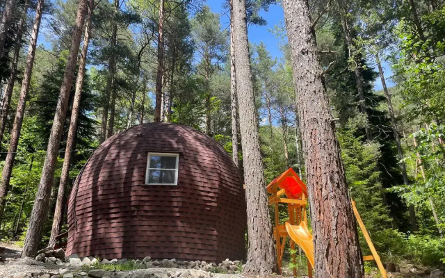Orlandiya Guest Houses