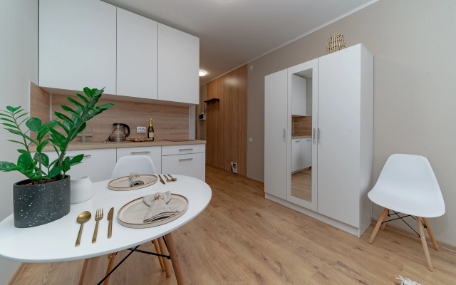 Апартаменты Уютная студия 1743