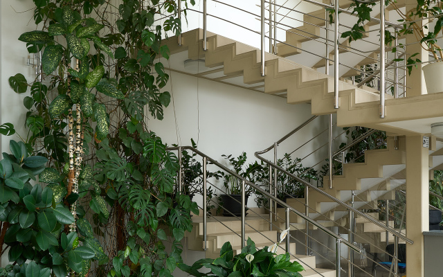 Апартаменты MyhomeYourhome на 27-й линии В.О. д.16