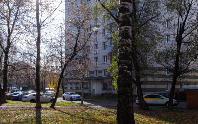Novella V Pechatnikakh Flat