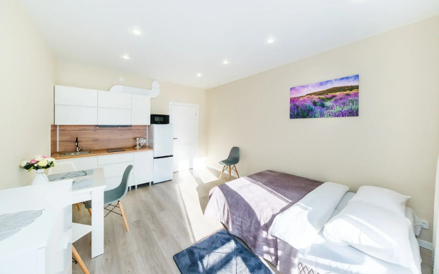 319 svetlye v ZhK Letniy dlya semi Apartments