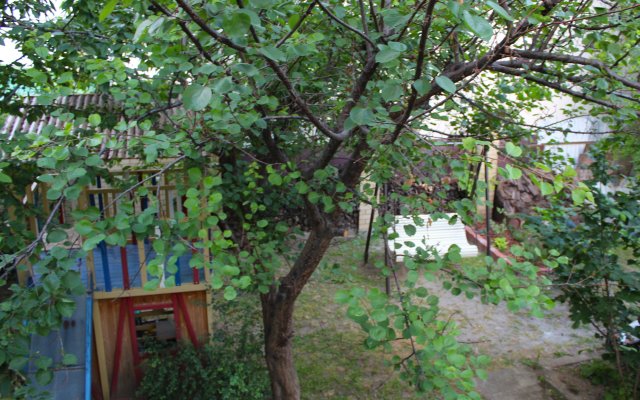 Shelkovitsa Guest House