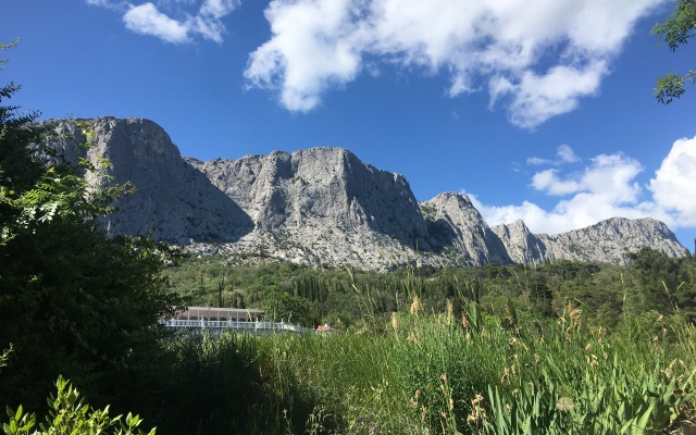 Forosskiy Bereg Apartments