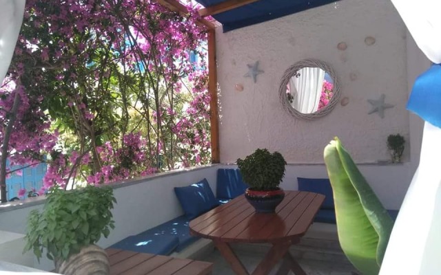 Doron Delfini Mini-hotel