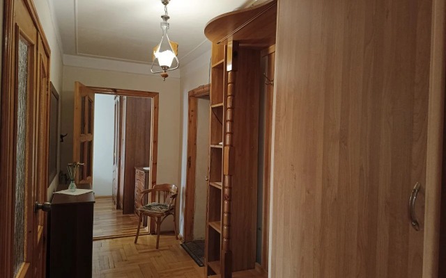 V Tsentre Goroda Flat