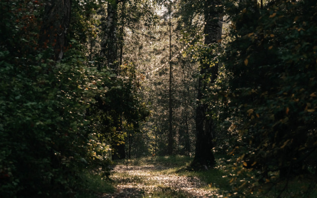 Отель Туристский оздоровительный комплекс Таежник - фото 5