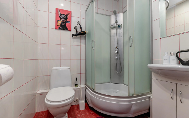 Апартаменты Жуковского 1/2/10с2 (209)