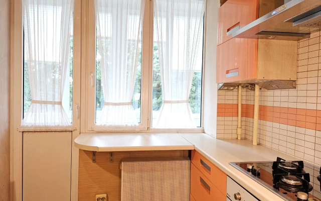 Uyutnaya V Tsentre Flat