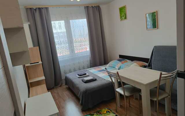 Na Ulitse Murinskaya Doroga 27/2 Flat