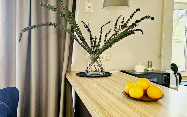 Квартира Неотель на Площади Ленина, рядом Театр Оперы и Балета