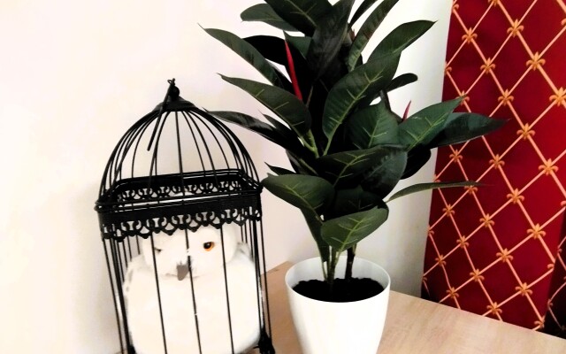 Studiya Garry Potter s divanom na rizhskoy Apartment