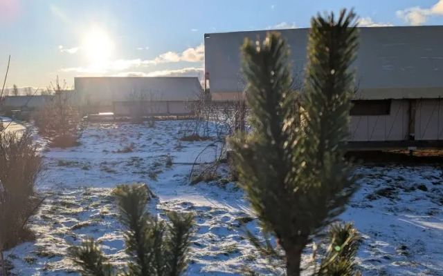 Глэмпинг Носороги