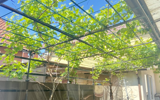 Sad U Morya Apartments