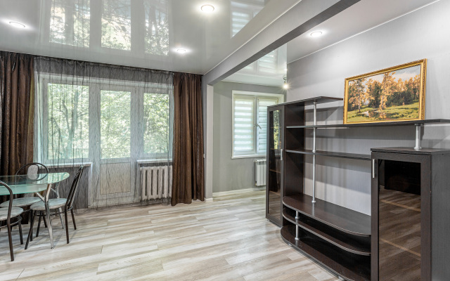 Shikarnaya Dvukhkomnatnaya V Tsentre Goroda Flat