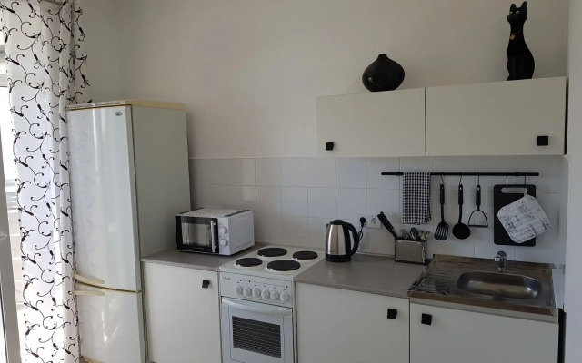 Koptevo Baykal Apartment