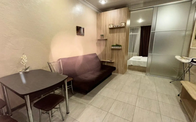 Uyutnaya Studiya V Tsentre Flat