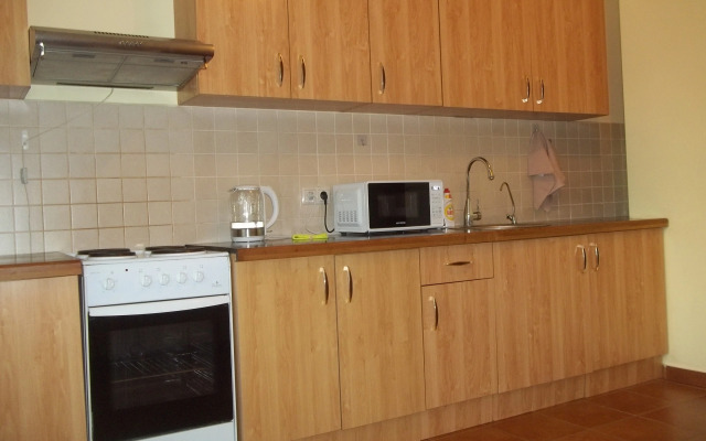 Bolshaya V Tsentre Goroda Flat