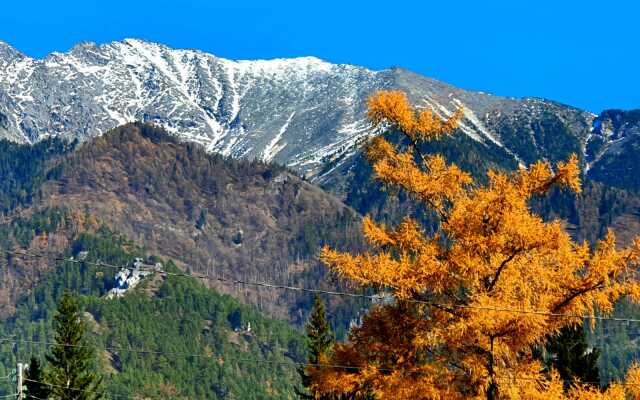 Мини-отель Подснежник