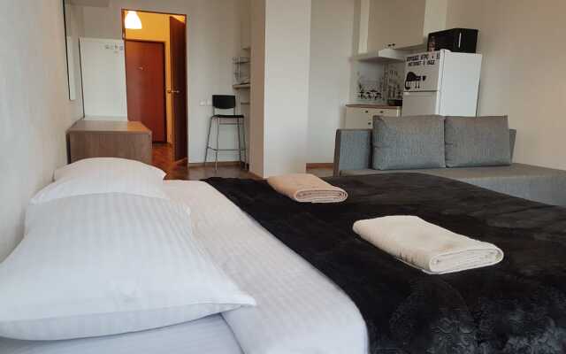 Апартаменты Студия с Панорамными Окнами