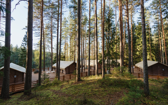 Глэмпинг Террасы