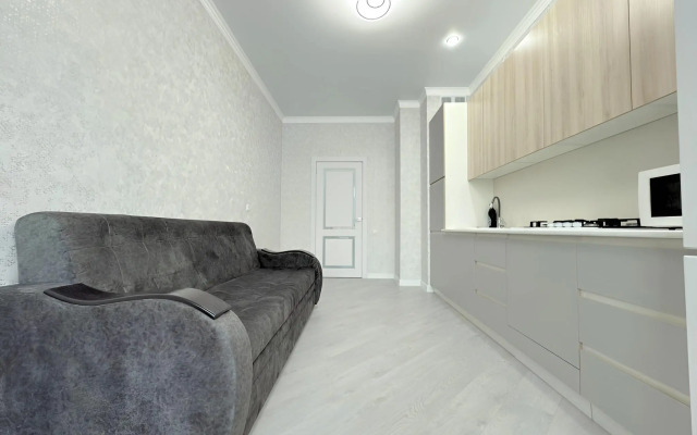 Lyuks v Samom Tsentre Goroda Flat