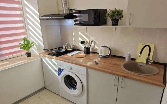 Квартира Уютная 1к по Тухачевского 49/2-24