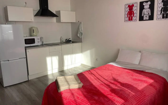 Uyutnaya Studiya Flat
