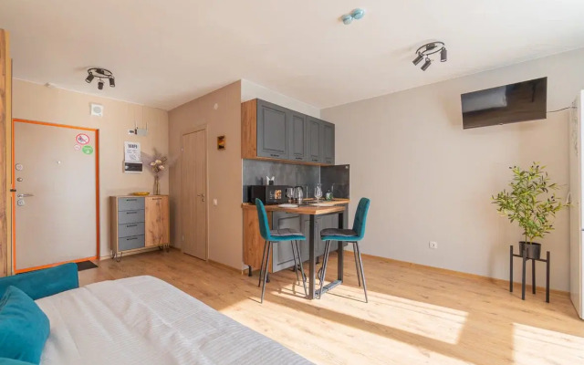 Апартаменты Просторная Студия у Метро Парнас