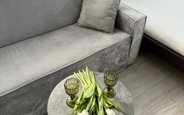 Квартира уютная студия в центре города