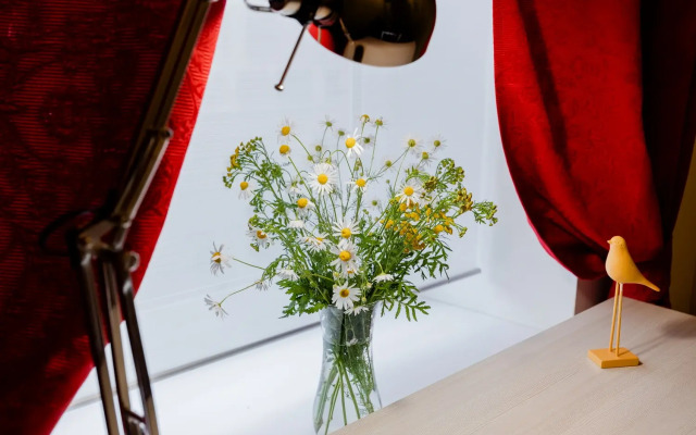 Апартаменты Двухкомнатные на Чапаева 19