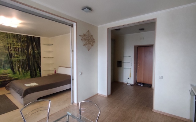 Kvartal Na Nedelina Polustudiya Apartments