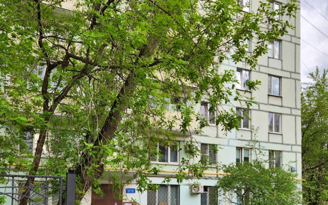 Tolstoy Donskaya Flat