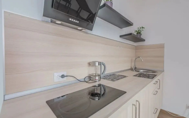 Na Plesetskoy 16 Studio Flat