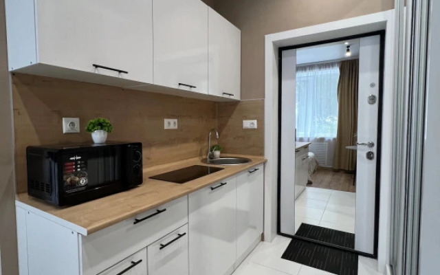 Апартаменты Stepanenkov на Воеводина 4 (2)