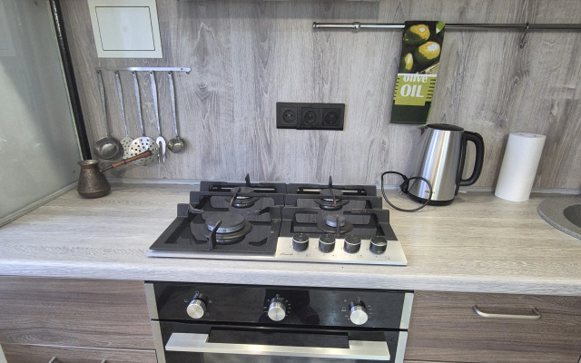 Квартира Оазис