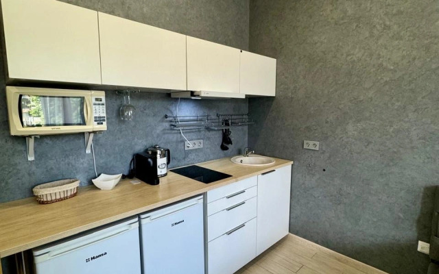 Komfortnaya Studiya Naprotiv Tts Goki Moll Flat