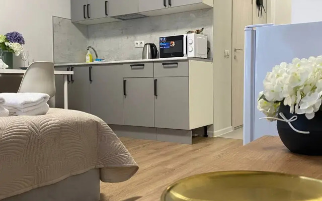 Uyutnaya Studiya U Metro Filatov Lug Flat