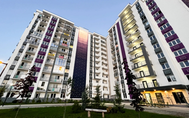 Chernika s Vidom na Gory Flat