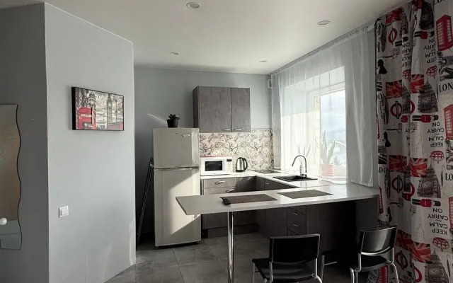 Апартаменты Дубровинского 104