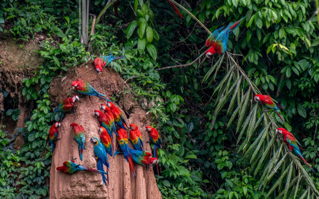Refugio Amazonas Hotel