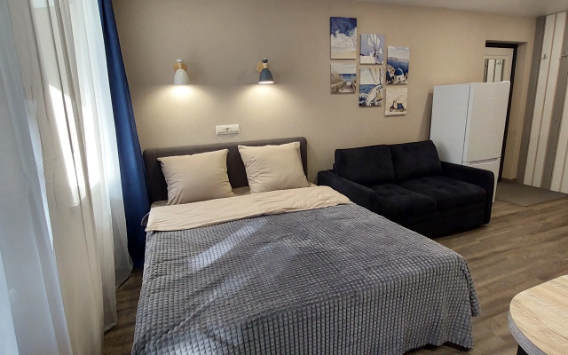 Sv Shveynikov studiya 1 Apartments