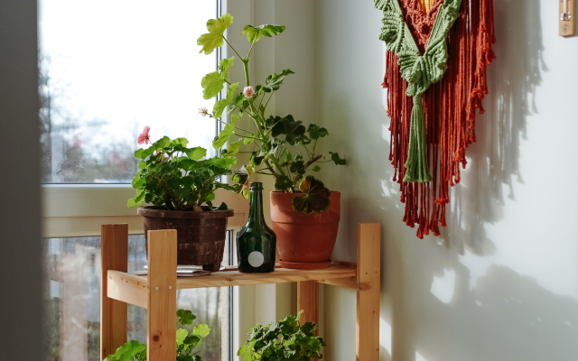 Апартаменты Cranz Prestige