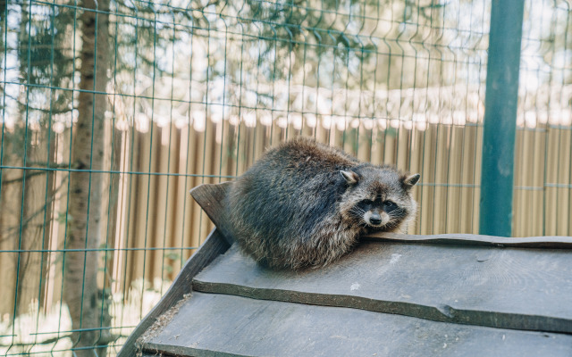 Отель Домъ Купца Кундышева-Володина