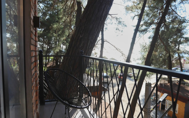 Отель Apsa Park-Hotel