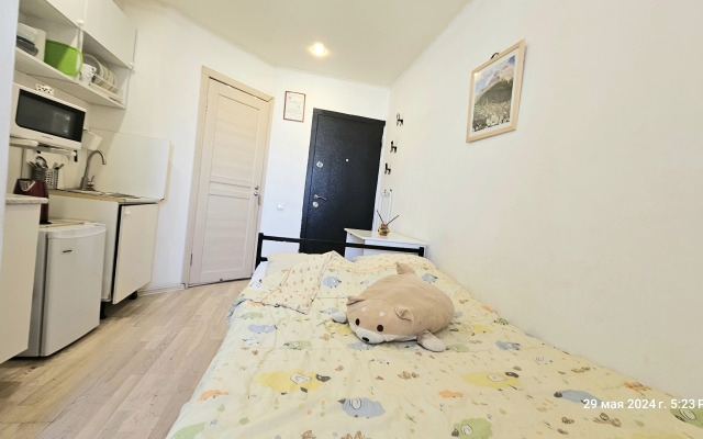 Квартира Качественный Бюджетный Вариант у Метро Комендантский Проспект