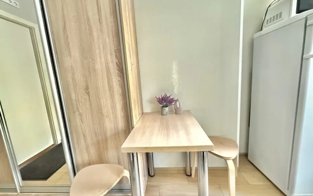 Studiya U Vitebskogo Vokzala Apartments