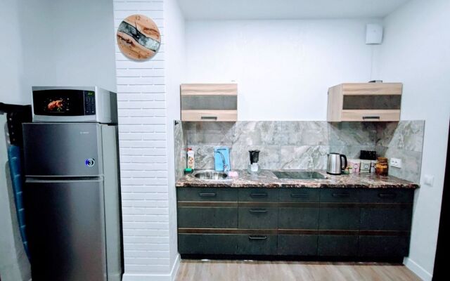 Апартаменты БИЗНЕСС ЛЮКС Двухкомнатные