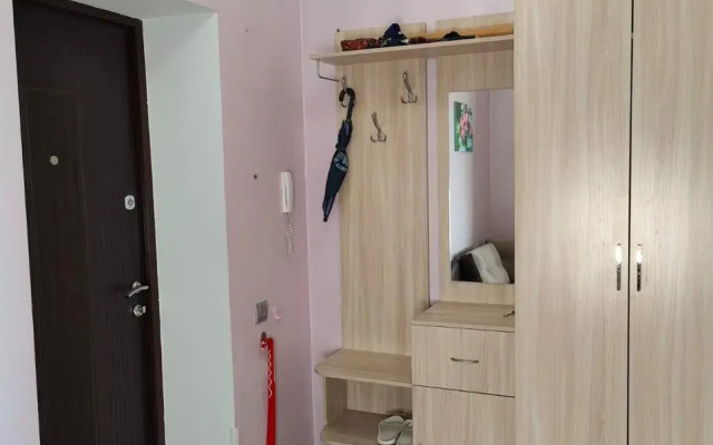 Solnechnye U Ozera Apartments